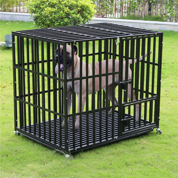 Escape proof clearance dog crate uk